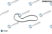 Dr.Motor Automotive DRM02530 Dichtung FüR Wasserpumpe FüR BMW