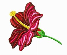 MASCHINENSTICKMOTIVE USB - HIBISKUS SAMMLUNG 4X4 FLORAL TROPISCH EXOTISCH