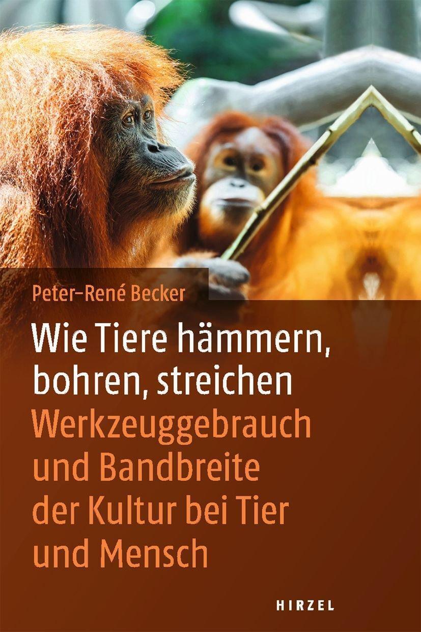 Thumbnail - Wie Tiere Hämmern, Bohren, Streichen | Peter-rene Becker | Deutsch |