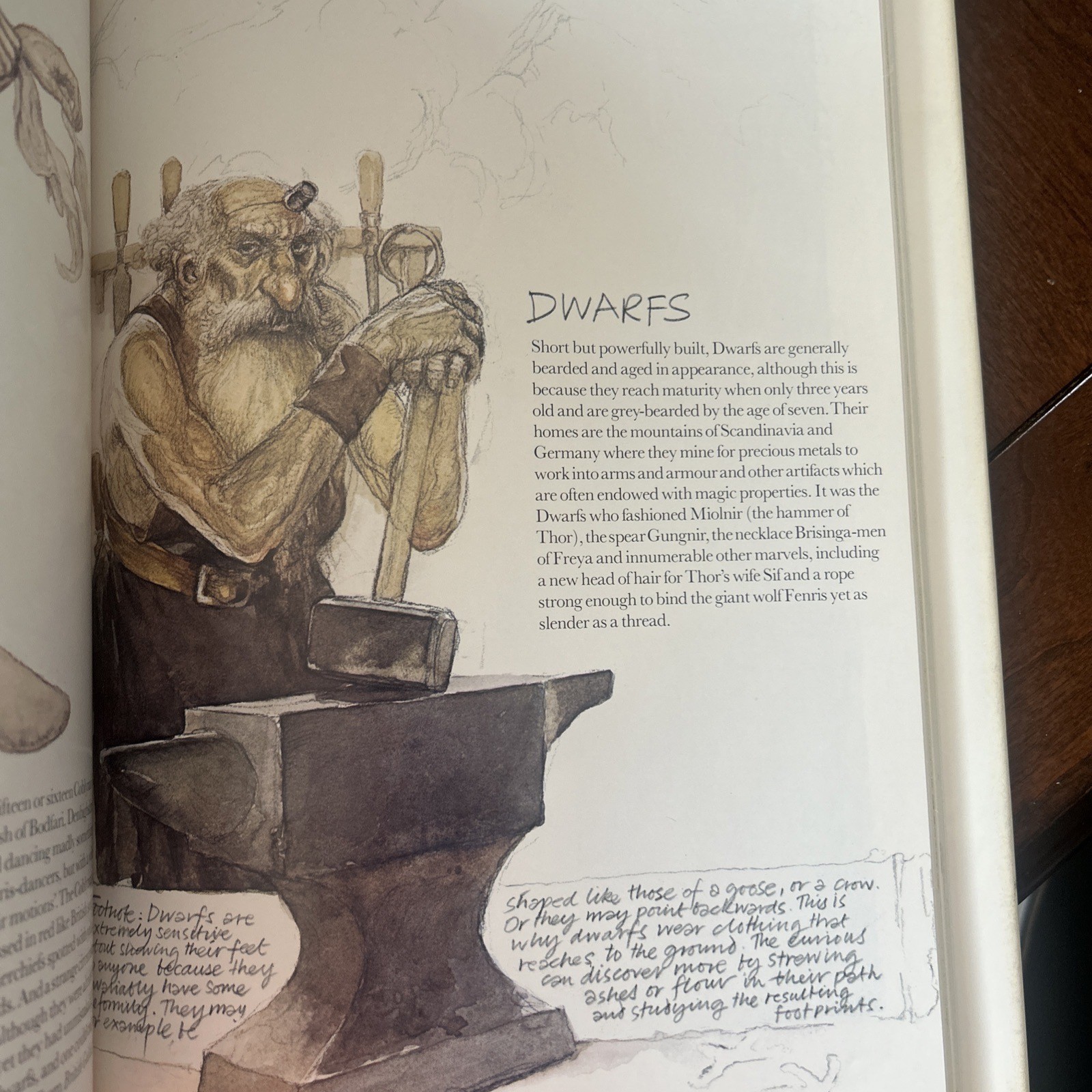 FAERIES HC/DJ 1978 Described & Illustrated Brian Froud & Alan Lee Please Read thumbnail 6