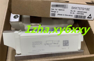 1 PCS for SKKT570/18E Module SKKT 570/18 E Genuine #1z | eBay