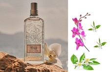L'Occitane En Provence NEROLI ORCHIDEE Eau de Toilette Spray 2.5 oz NIB