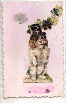 Old postcard with added DOG who makes beautiful. 