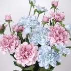 3 Heads Dahlia Flower Stem 67cmH Artificial Flower Wedding Party DIY Decor