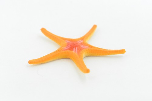 Seestern Spielzeug, Ross Sea Star, Sea Life, realistisches Kunststoffmodell, 2 1/4" F927 B158 - Bild 4 von 5