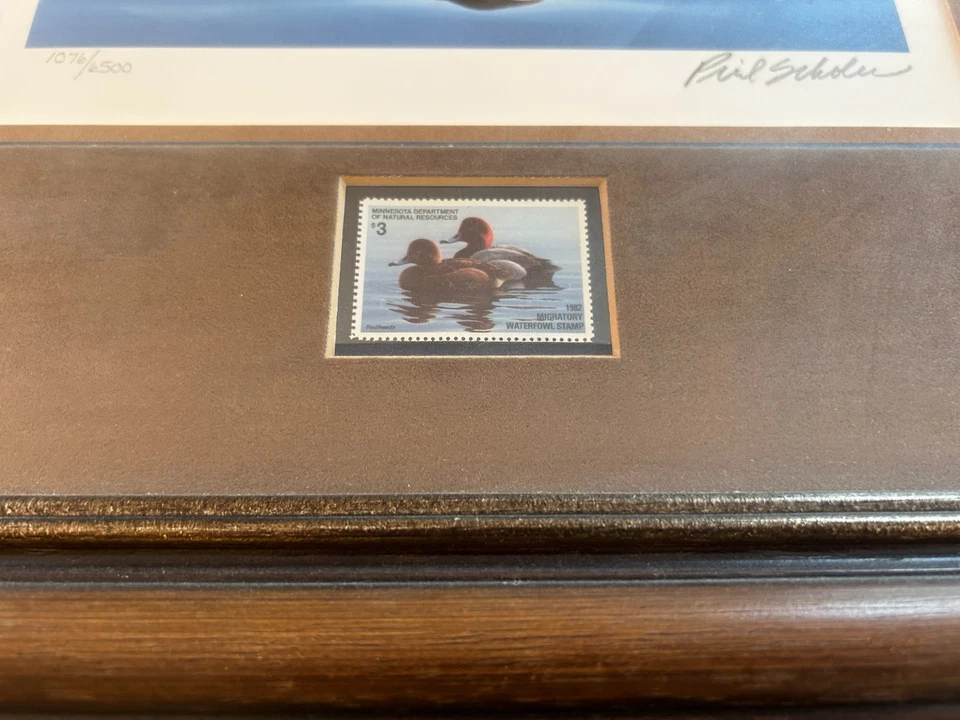 1982 MINT Framed & Signed Minnesota Duck Print with Stamp (Phil Scholer) #1076 - Image 3 of 4