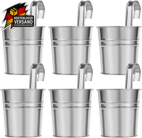 HäNgetöPfe Set FüR Pflanzen 6Er Metall Blumentopf KräUter Sukkulenten HäNgeampel