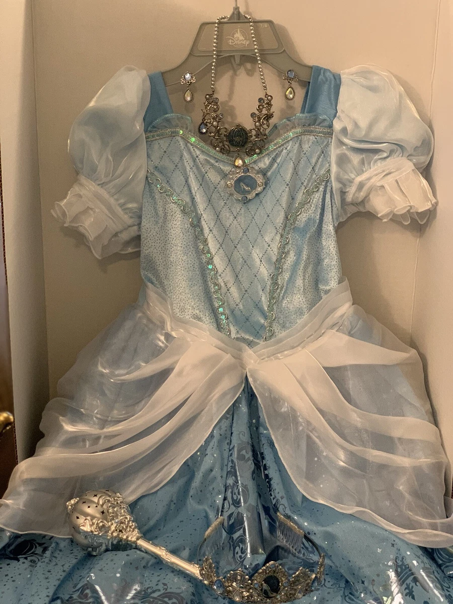 Ebay hotsell cinderella dress
