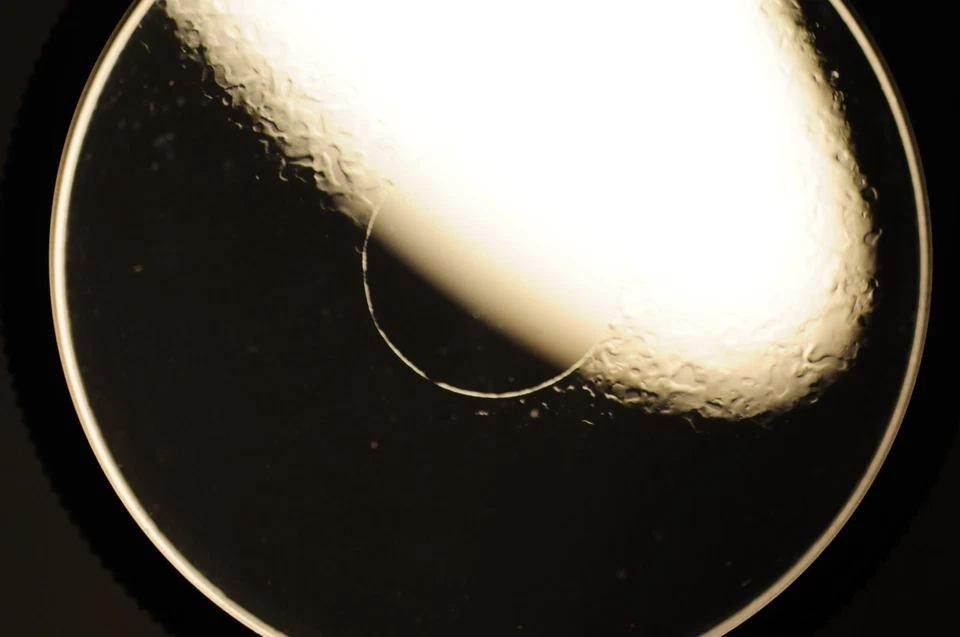 Hoya 55mm Soft-Spot filter for Nikon Canon Sigma Sony Tamron lens - Image 4 of 4