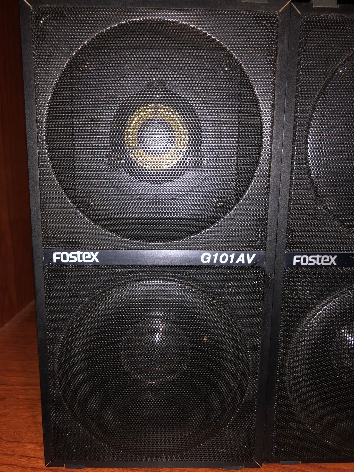 fostex g101av