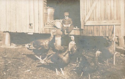 LP60 Young Boy Feeding Turkeys Unidentified Location RPPC 1910 Postcard