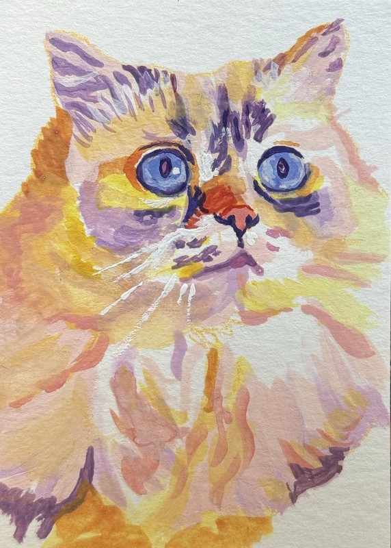 ACEO Original Watercolor Painting Cat, Persian cat, By Holly Heath