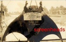 C1910 ADV. RPPC PHOTO FT. LAUDERDALE FLORIDA "Giant Manta Ray" VERY UNUSUAL