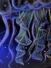 EB Jellyfish Painting on Canvas Signed Glowing Features and Shimmer Unframed — photo 5