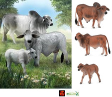 Brahman Cattle Grey or Red Cow Toy Model Figures by CollectA Bull Cow Calf NEW