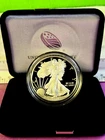 2019 - w American eagle one ounce Proof in original government packaging.