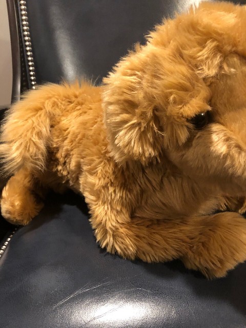 FAO Schwarz Golden Retriever Dog Stuffed Animal Toy Plush 20 inch Large | eBay