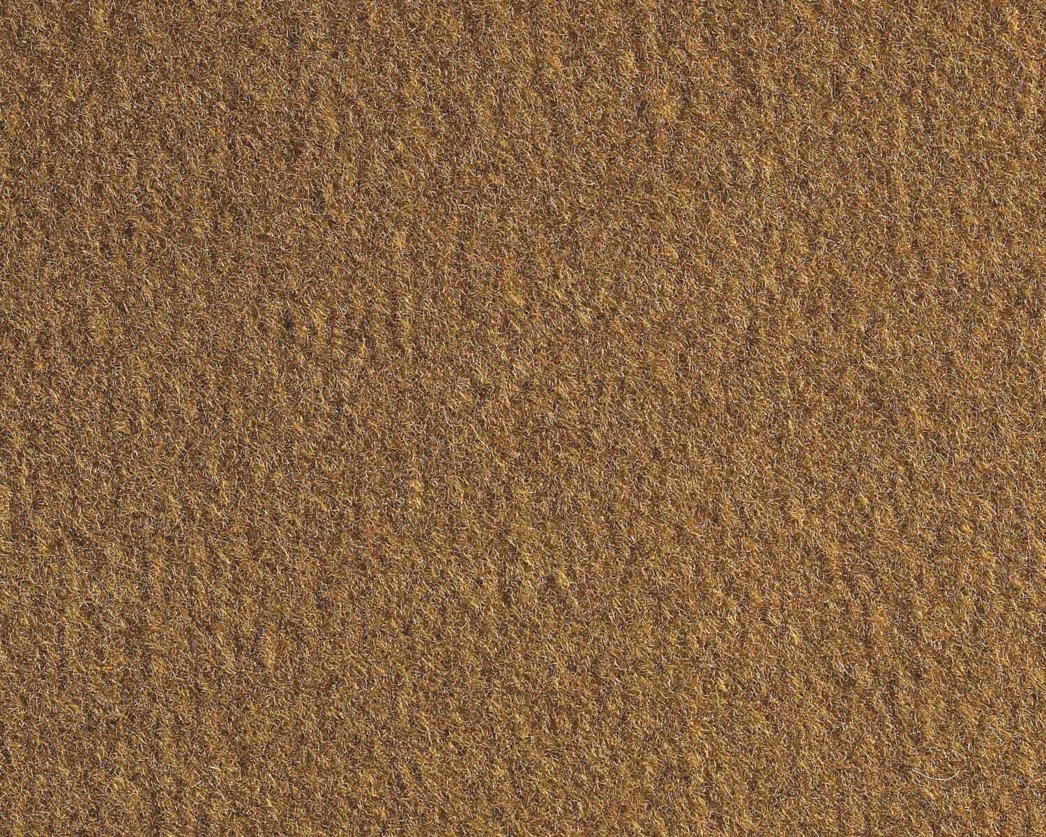 Picture 21 of 22