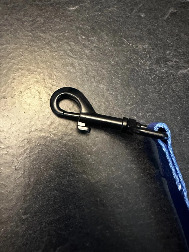 dog harness, leash ,poop bag holder, seatbelt attachment, bow blue king
