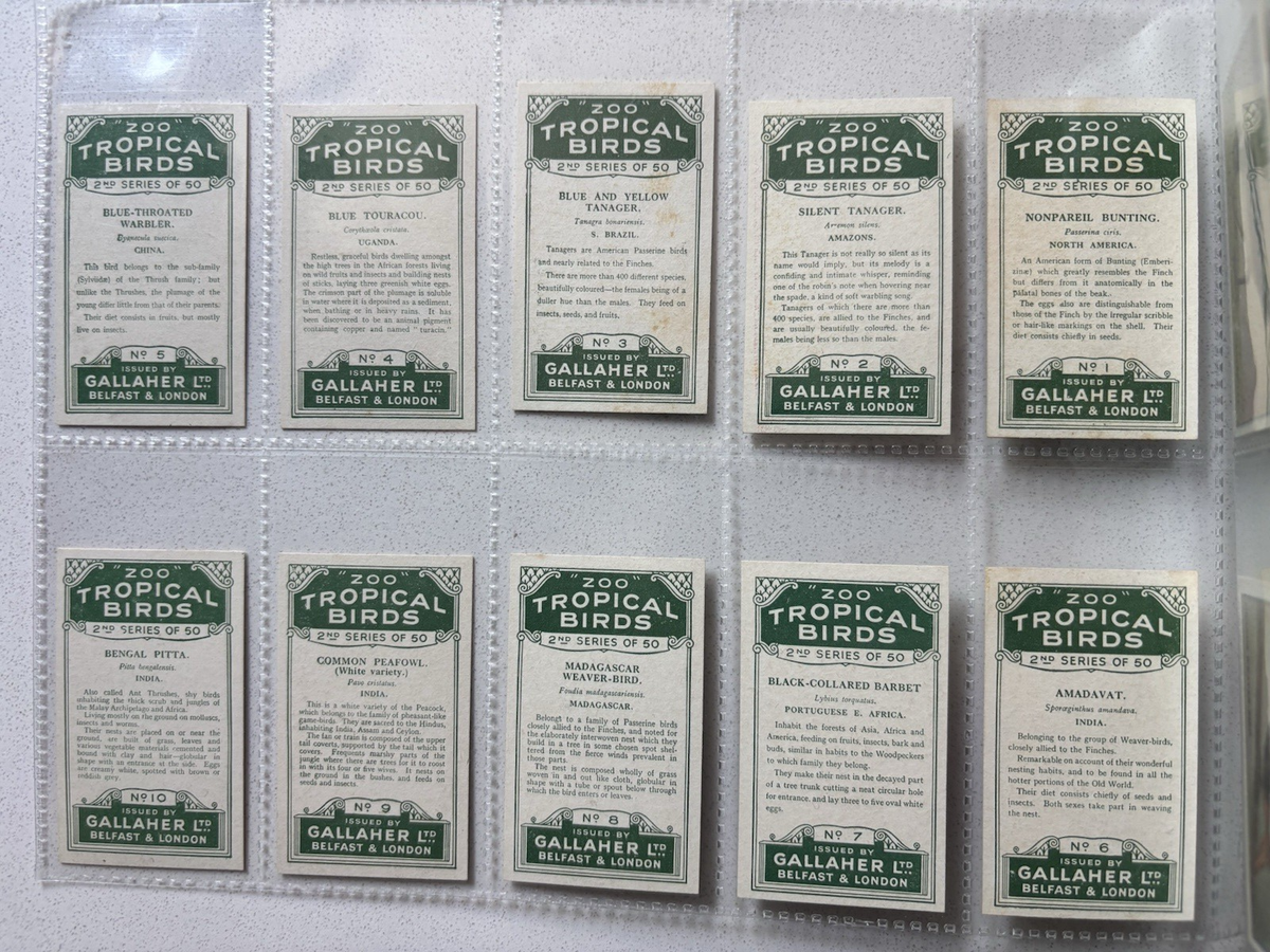 Gallaher Cigarette Cards Zoo Tropical Birds 2nd Series 1929 Complete Set of  50