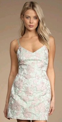 Lulus Women's XS Never-Ending Love Mint Floral Jacquard Sleeveless Mini Dress 