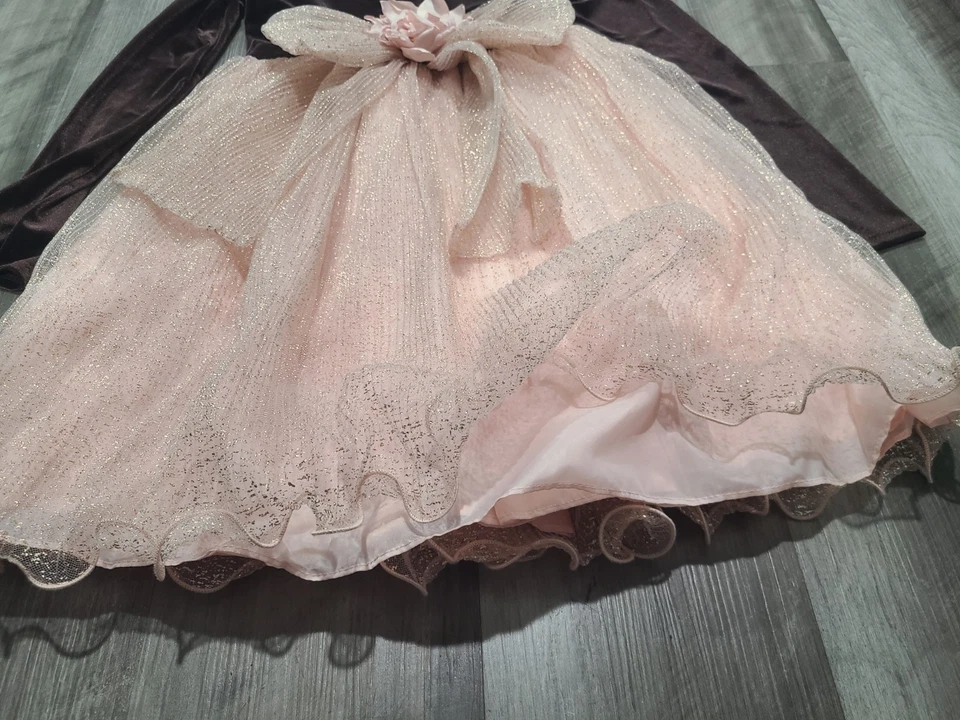 Vestido Bonnie Jean Niñas MARRÓN Y RUBOR BRILLO Terciopelo Malla Lazo Talla 14 Foto 3 de 4