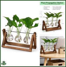 YIBOT Propagation Stations,Plant Terrarium with Wooden Stand-3 Glass Vases