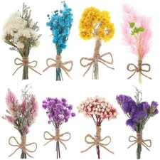 8 Pcs Mini Gypsophila Daisy Dried Flowers Bouquets for DIY Craft Home Decor