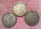 Lot of  3 CIRCULATED  1879  Morgan silver dollar Coins   LOT # 11
