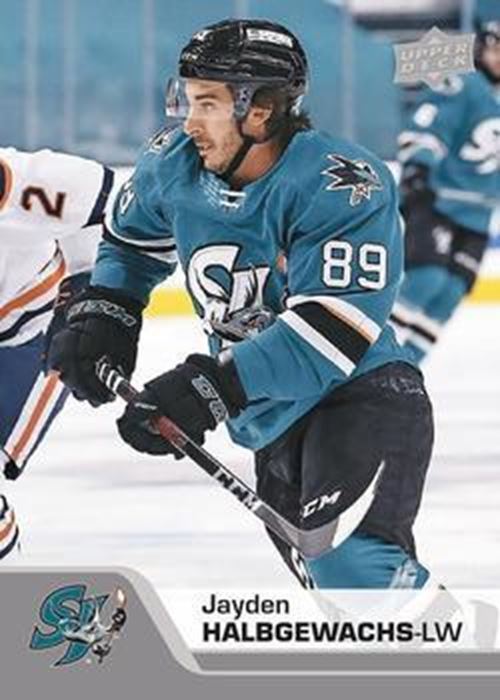 San Jose Barracuda –