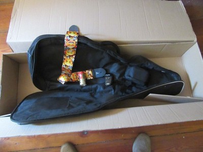 Gitarrentasche für Baton Rouge AR21C/ACE, mit Zubehör sh. Text