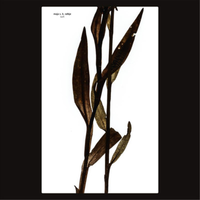 Maja S.K. Ratkje Sult (Vinyl) 12'' Album