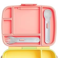 Lunch Bento Box for Kids and Toddlers, Includes Stainl Steel