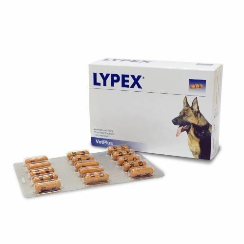 Lypex¹ Pancreatic Enzyme Deficiency helps digestion Supplement Cat Dog pack 60c - Picture 4 of 7