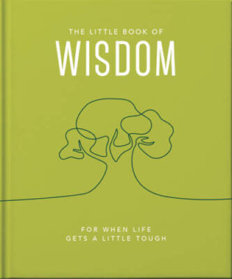 The Little Book of Wisdom: For when life gets a little tough - VERY GOOD
