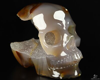 Crâne De Cristal En Agate Du Brésil - Sculpture Main Réaliste - 5.2 Cm - Pièce De Collection Neuve