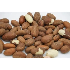 African Bitter Kola Nut  - Freshly from Africa - 8 Nuts per Pack - High Quality