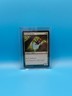 MTG, Deadly Recluse 282 $3 ORDER MIN - Regular - CMM - Magic the Gather