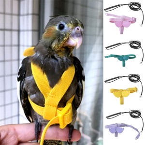 parrotlet harness and leash
