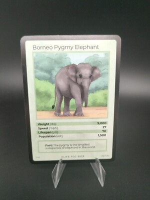 Borneo Pygmy Elephant Life Tcg 2023 - 22/100