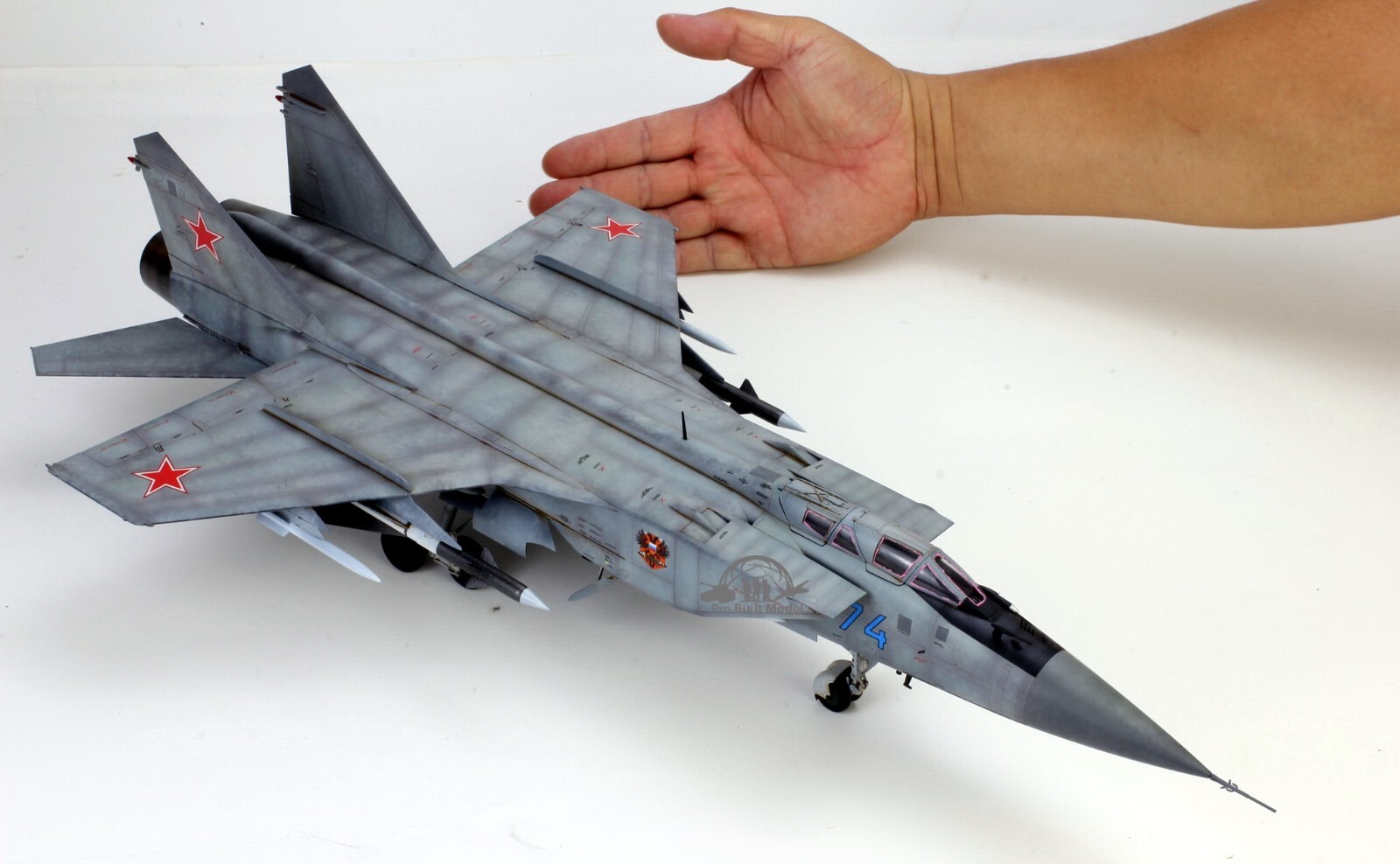 PreSale Russia MiG-31 Foxhound 1:48 Pro Built Model