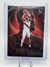 2024-25 Panini Silhouette Deandre Ayton Portland Trail Blazers NBA #3