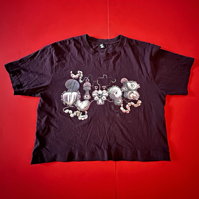 BJORK x Coachella limited official merch plum Tshirt cropped unisex M