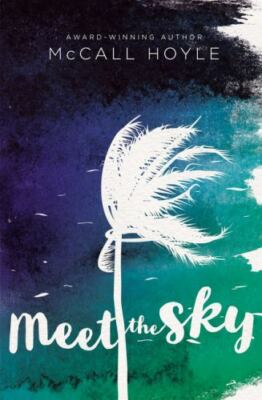 Meet the Sky (Blink) by Hoyle, McCall