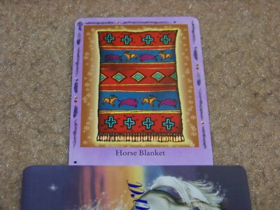 Bella Sara trading card - Native Lights - Horse Blanket 50/55 - rare