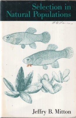 Selection In Natural Populations By Mitton, Jeffry B. 