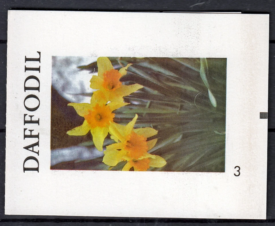 Probedruck Test Stamp Booklet Specimen TDB 43 Daffodil Nr. 3 - Bild 1 von 4