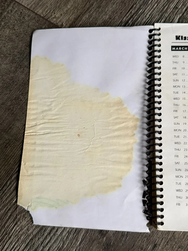 Libro de itinerario de la gira KISS MONIQUE FREHLEY gira de conciertos de despedida 2000 vintage Kiss Foto 3 de 4