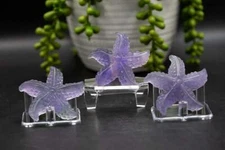 Fluorite - Purple Starfish