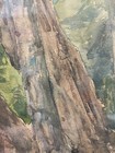 Picture 16 of 24